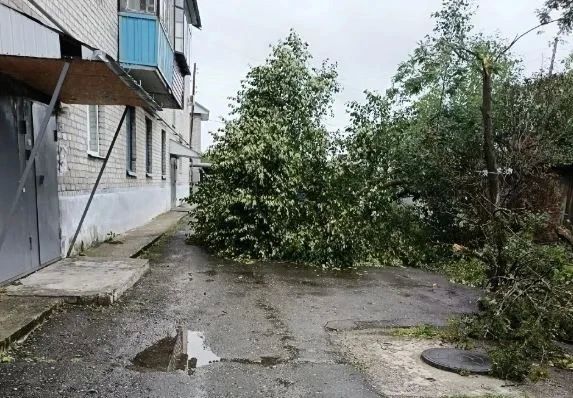 В Ялуторовске прошел ураган: в городе повалены деревья, сорваны крыши домов В Ялуторовске прошел ураган: в городе повалены деревья, сорваны крыши домов