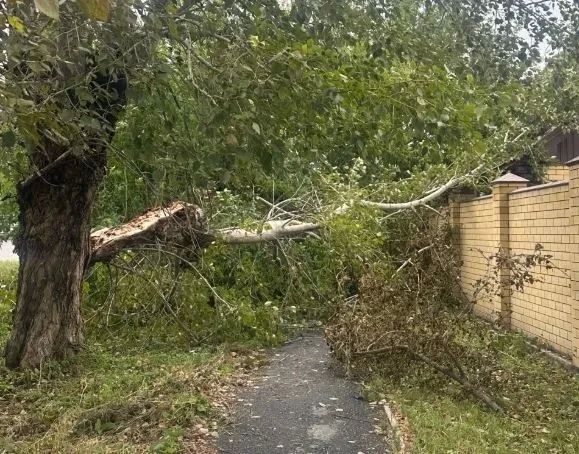 В Ялуторовске прошел ураган: в городе повалены деревья, сорваны крыши домов В Ялуторовске прошел ураган: в городе повалены деревья, сорваны крыши домов