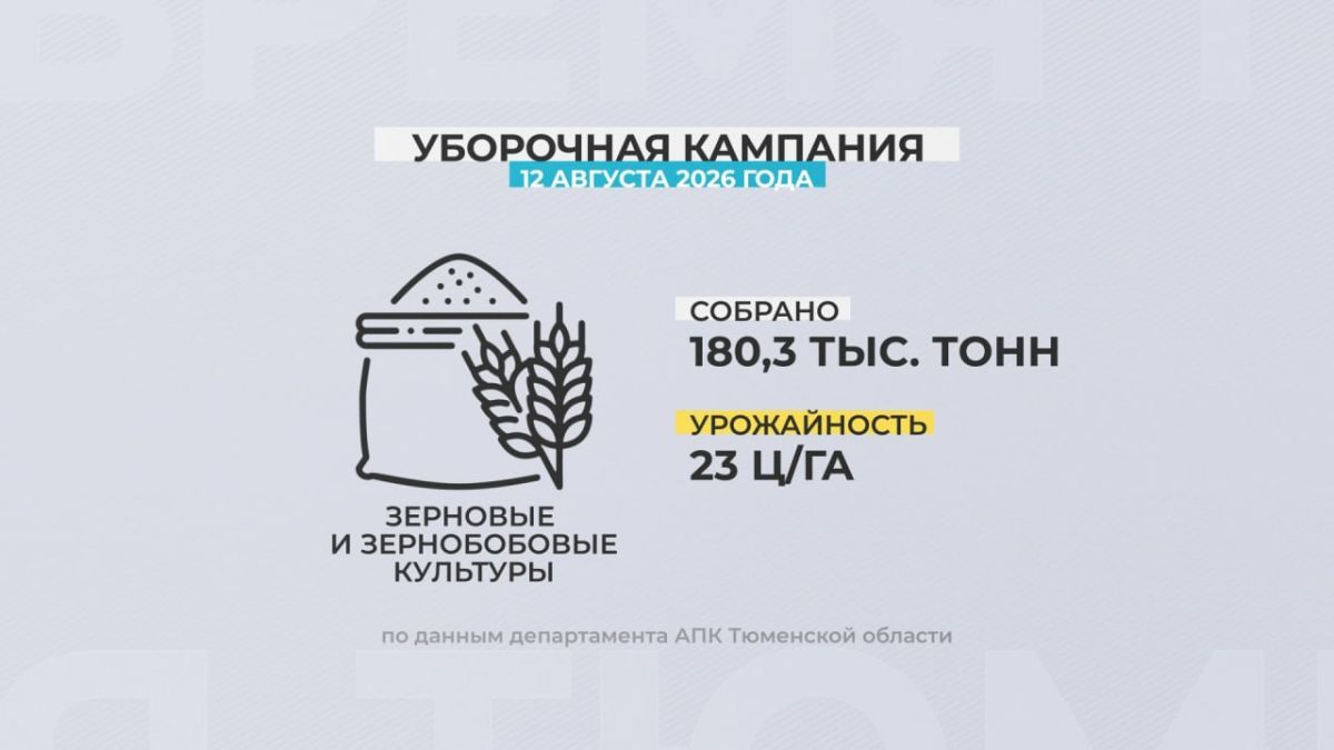 В Тюменской области, несмотря на дожди, продолжается уборочная кампания