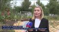 ���� �������. ���-�������, ���� ����� � ����������� �������� � ��� ��� � ������������� ��������� ������������ �������, ��������������� � ���������� "���� �������"