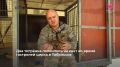 Двое тигрят родились во время гастролей цирка в Тобольске