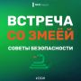 Столкнуться со змеёй можно не только в лесу, но даже на собственном дачном участке или водоёме