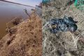 Изза последствий паводка в Тобольском районе перезахоронят останки с кладбища в селе Бронниково