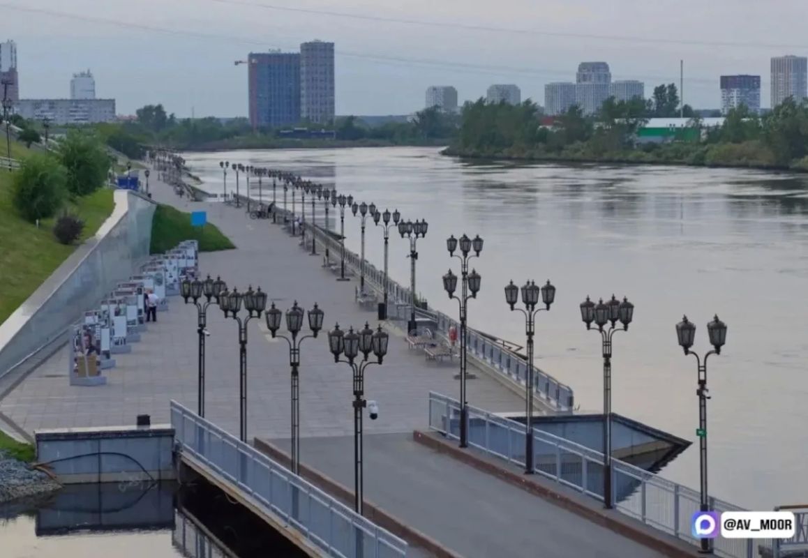 Ученые выяснят причины массовой гибели рыбы в Туре
