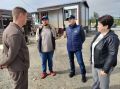 Друзья человека продолжают терроризировать ямальцев