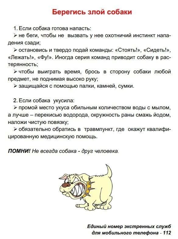Школа БезОпасности. Урок 9. Берегись злой собаки Даже безобидная на вид бездомная собака может причинить вред, если она настроена агрессивно Школа БезОпасности. Урок 9. Берегись злой собаки Даже безобидная на вид бездомная собака может причинить вред, если она настроена агрессивно