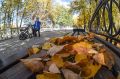 В Тюменской области активизировались осенние жигалки