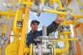 До конца года газ подведут к 21 населённому пункту Тюменской области