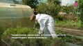 Уровень воды в Туре и Пышме продолжает активно снижаться