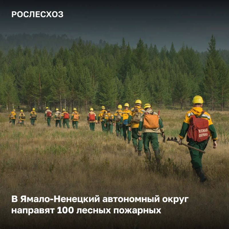 На территории ЯНАО сохраняется сложная лесопожарная обстановка