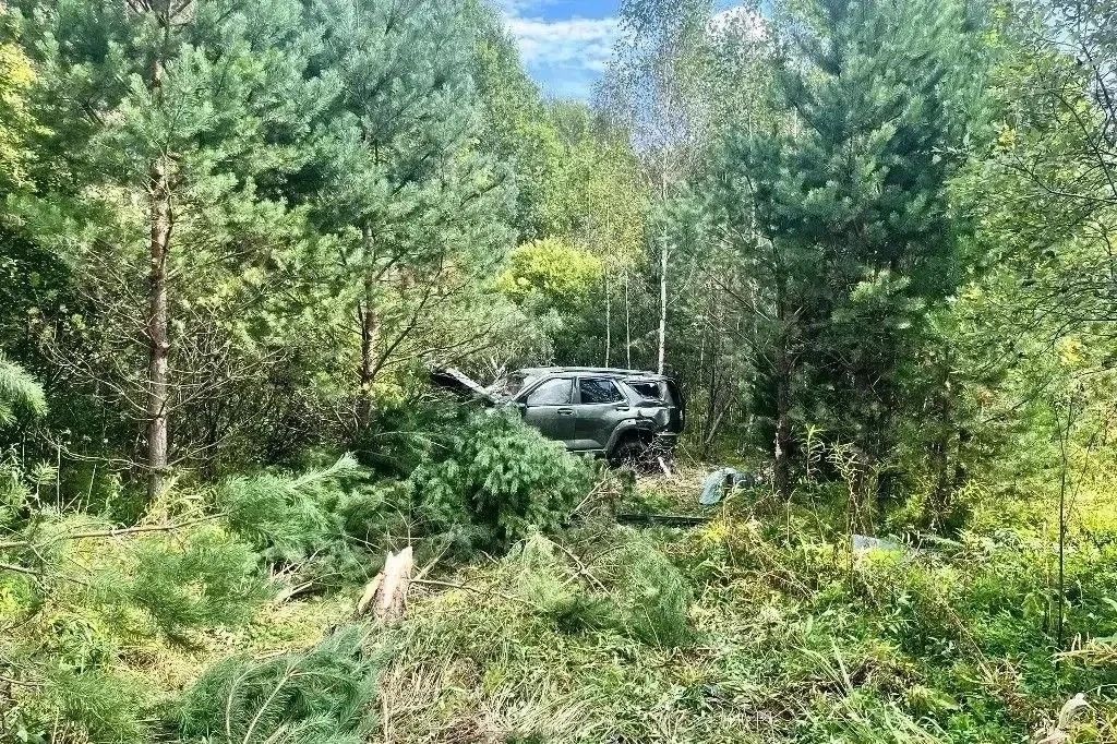 Семья из Сургута перевернулась на трассе Аромашево — Вагай в Тюменской области