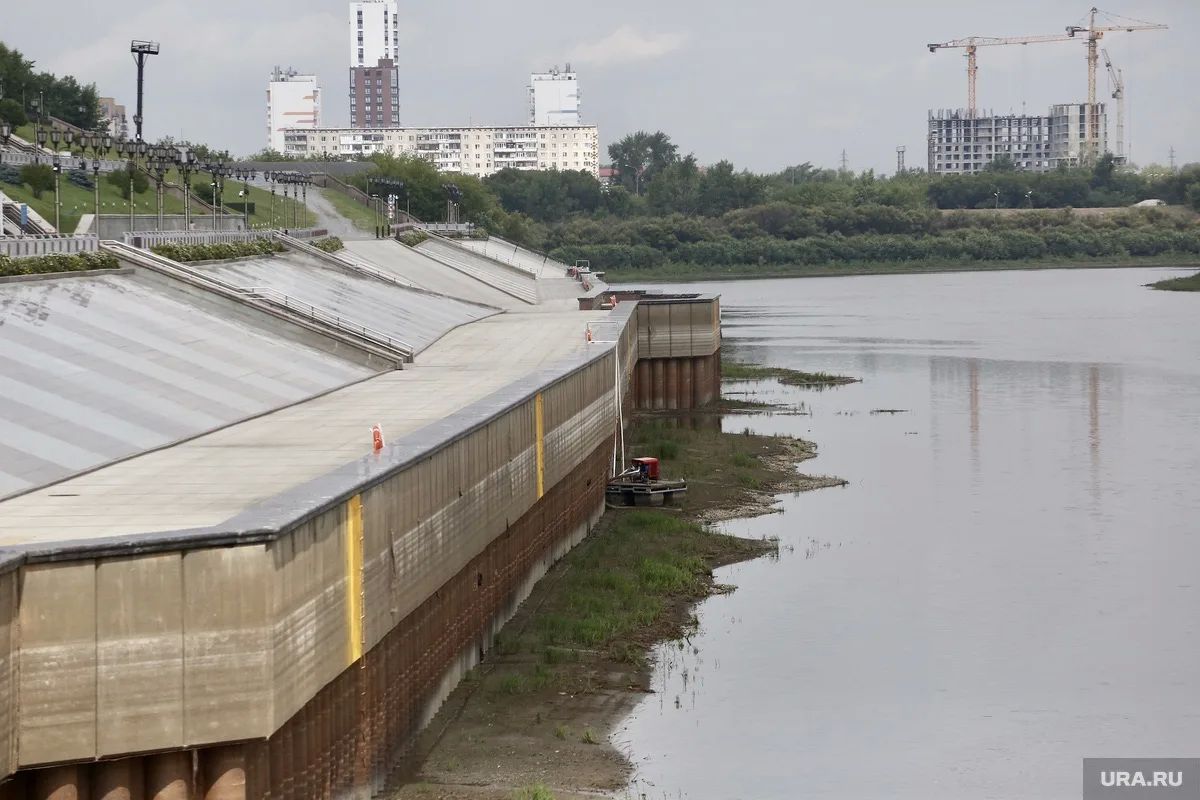 Скандал с мором рыбы в Тюменской области дошел до правительства РФ