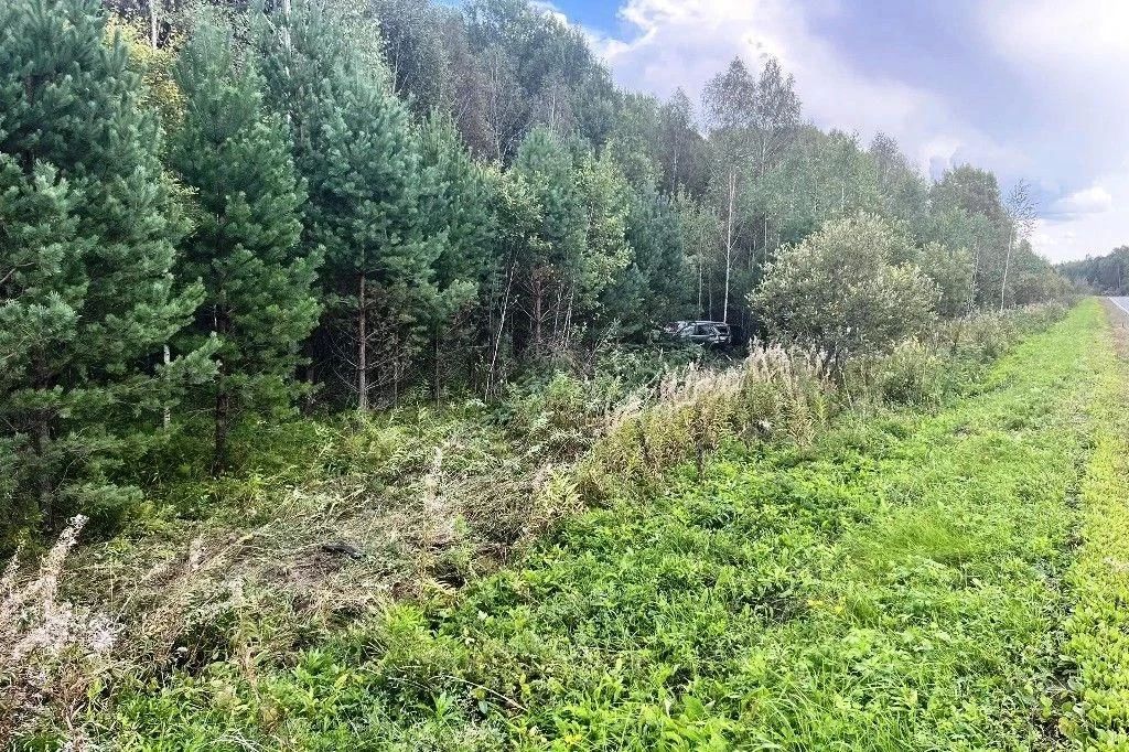 Семья из Сургута попала в ДТП на тюменской региональной трассе Семья из Сургута попала в ДТП на тюменской региональной трассе