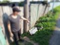 В полицию Омутинского округа с заявлением о краже обратилась 60-летняя жительница села Омутинское