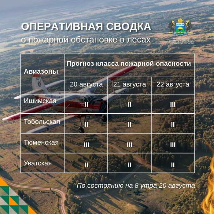По данным региональной диспетчерской службы, на утро 20 августа в Тюменской области нет действующих лесных пожаров