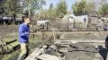 Волонтёры «Молодой Гвардии Единой России» помогают тюменцам ликвидировать последствия паводка