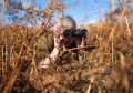 В Тюменской области распределили более 1,2 тыс
