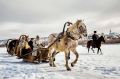 Мировая премьера! Фильм по роману тюменского писателя Сергея Козлова выходит в прокат