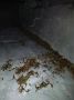 В селе СевероПлетнёво задержали мужчину с крупной партией марихуаны