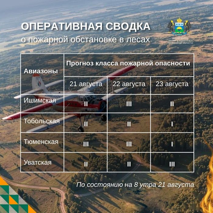 По данным региональной диспетчерской службы, на утро 21 августа в Тюменской области нет действующих лесных пожаров