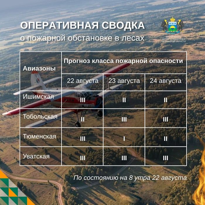 По данным региональной диспетчерской службы, на утро 22 августа в Тюменской области нет действующих лесных пожаров