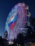 Тюменское колесо обозрения с подсветкой