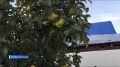 ������ �������. � �������� ������� � ��������� ��������� ������� ������