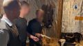 Трагедия в Тюмени: две женщины погибли при стрельбе на улице Казанской