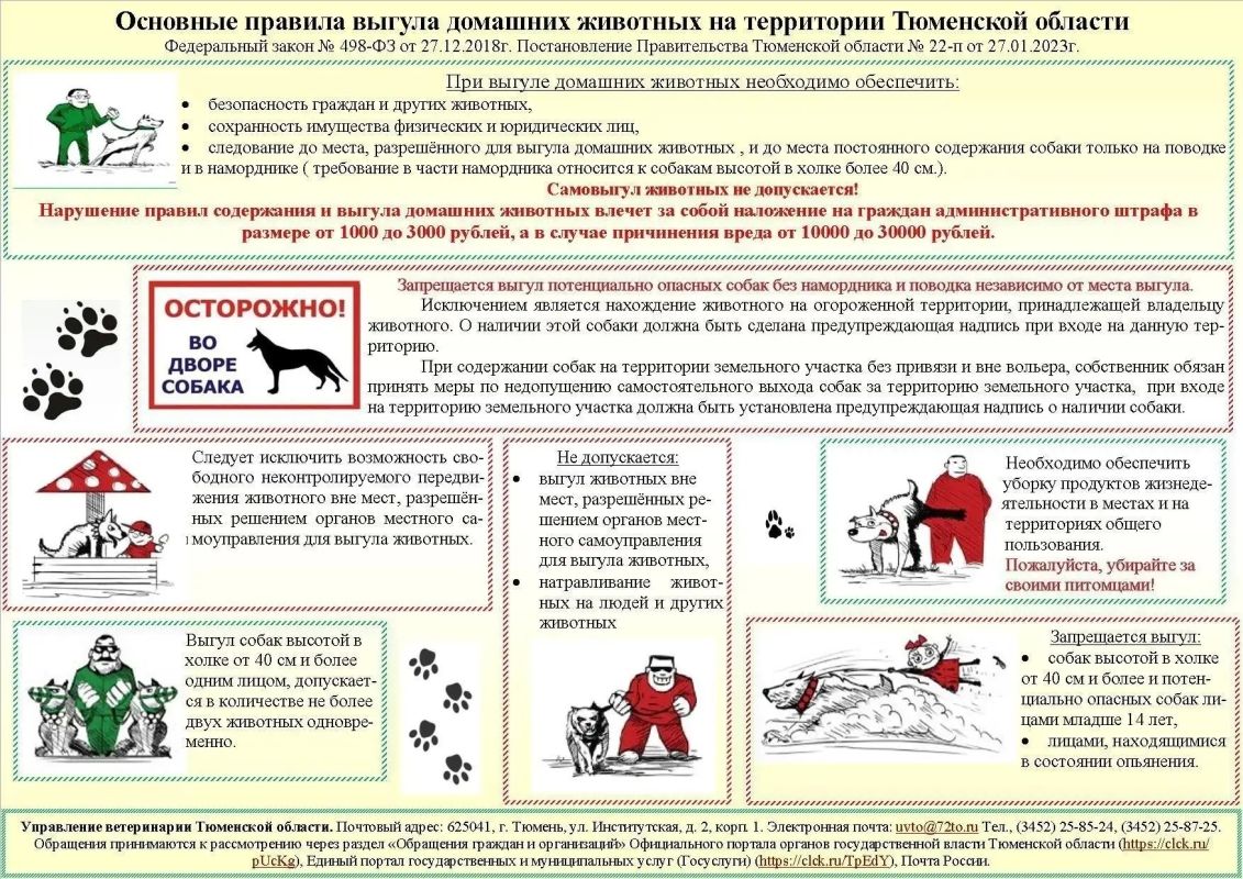 При выгуле домашних животных владельцы должны обеспечить безопасность граждан и других животных, а также сохранность имущества физических и юридических лиц!