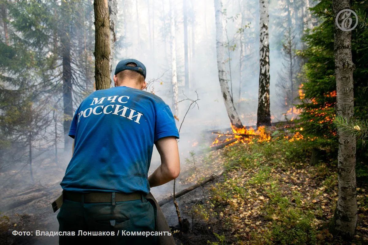 На 8:30 в Ямало-Ненецком автономном округе (ЯНАО) действовало 122 природных пожара, общая площадь которых достигла более 303 тыс