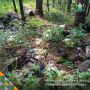 Очередная свалка в лесу: специалисты устанавливают виновных