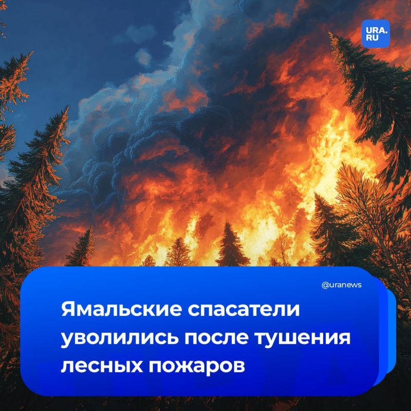Как транслировать и укреплять настоящий образ героев в медиаполе? Как транслировать и укреплять настоящий образ героев в медиаполе?