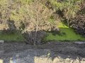 Сегодня предстоит провести важные технические мероприятия на прилегающей территории возле протоки по ул. Щербакова. Специалисты Службы заказчика по благоустройству Центрального округа временно вскроют часть насыпи, чтобы...