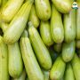 Кабачковый сезон: как справиться с урожаем?