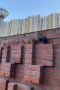 Утренняя встреча с белкой подарила тюменцам немного тепла и радости