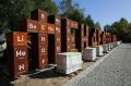 Благоустройство Менделеев-парка близится к завершению