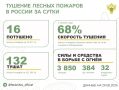 За прошедшие сутки в 10 регионах России потушили 16 лесных пожаров