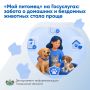 ���� �������� �� ����������: ������ � �������� � ��������� �������� ����� �����