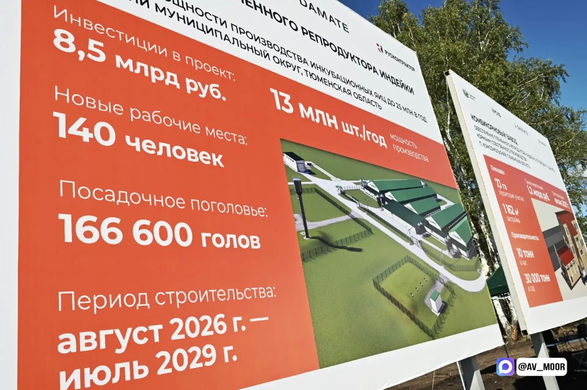 Племенной комплекс индейки на 166,6 тыс Племенной комплекс индейки на 166,6 тыс