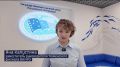 Нет кислорода — нет рыбы. Инфекционных заболеваний рыбы в главных водных артериях Тюменской области не обнаружено