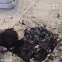 ���������� ������ ���� �� ���� ���������