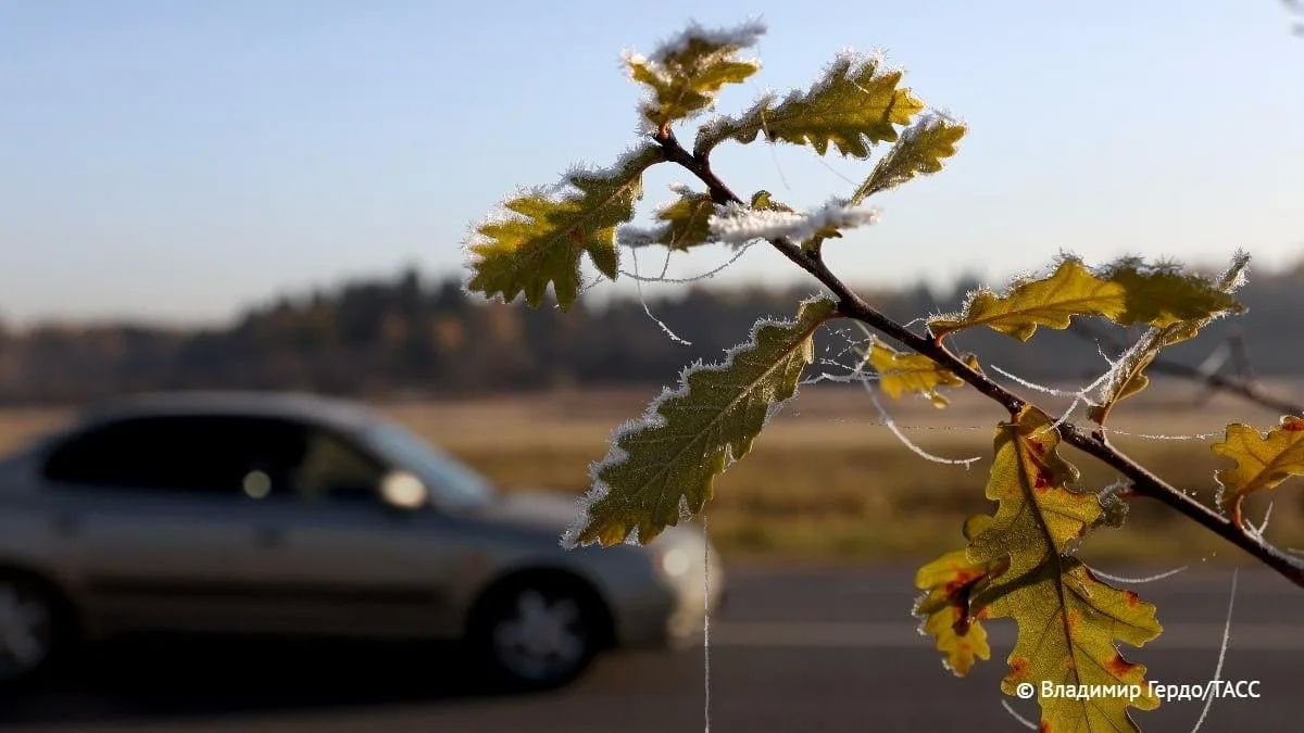 Заморозки до минус 5 градусов ожидаются в Курганской и Тюменской областях до 3 сентября, объявлено штормовое предупреждение, сообщили в региональных управлениях МЧС