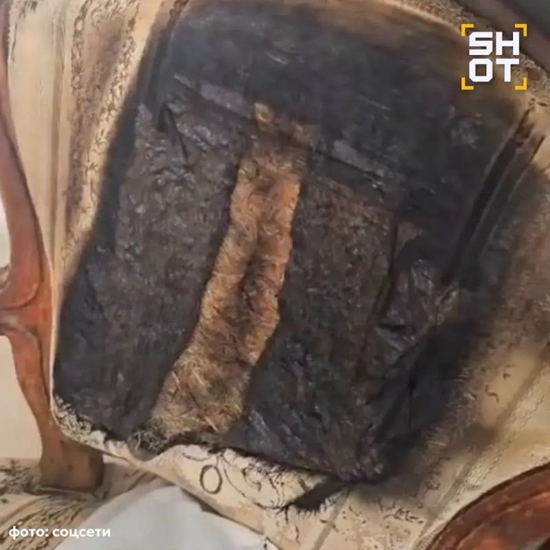 Жительницу Питера едва не убил пауэрбанк Жительницу Питера едва не убил пауэрбанк