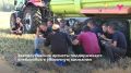 В Заводоуковском округе тоже в разгаре уборочная кампания