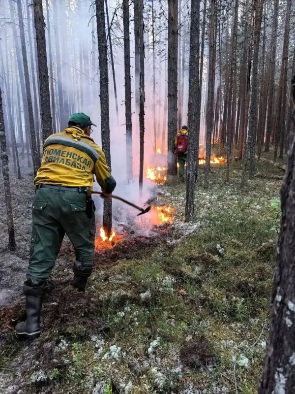 На Ямале бушуют масштабные лесные пожары — обстановка в ЯНАО остаётся крайне непростой На Ямале бушуют масштабные лесные пожары — обстановка в ЯНАО остаётся крайне непростой