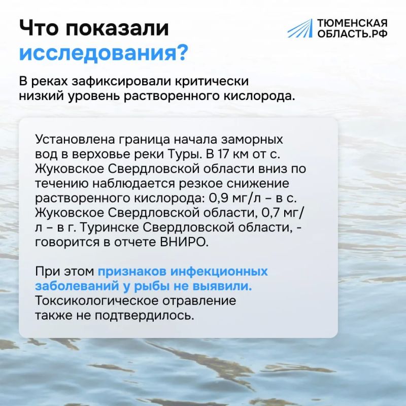 Почему погибла рыба в тюменских реках? Почему погибла рыба в тюменских реках?