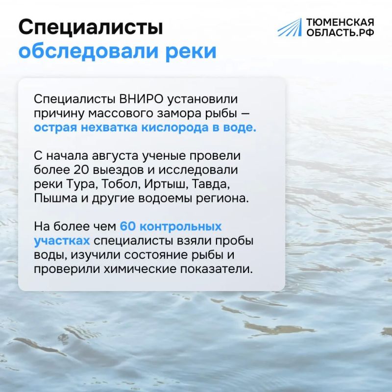 Почему погибла рыба в тюменских реках? Почему погибла рыба в тюменских реках?