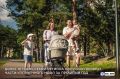 Александр Моор: Более 590 млн рублей ежегодных семейных выплат получили работающие родители Тюменской области