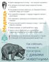 Уважаемые тоболяки! Напоминаем, о необходимости соблюдения мер предосторожности и правилах поведения при встрече с дикими животными