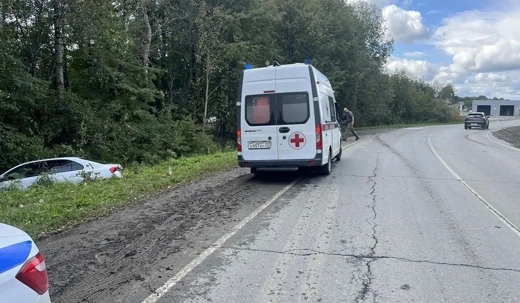 В Тобольске произошло ДТП с участием автомобиля «Шкода Рапид»: машина врезалась в дерево В Тобольске произошло ДТП с участием автомобиля «Шкода Рапид»: машина врезалась в дерево